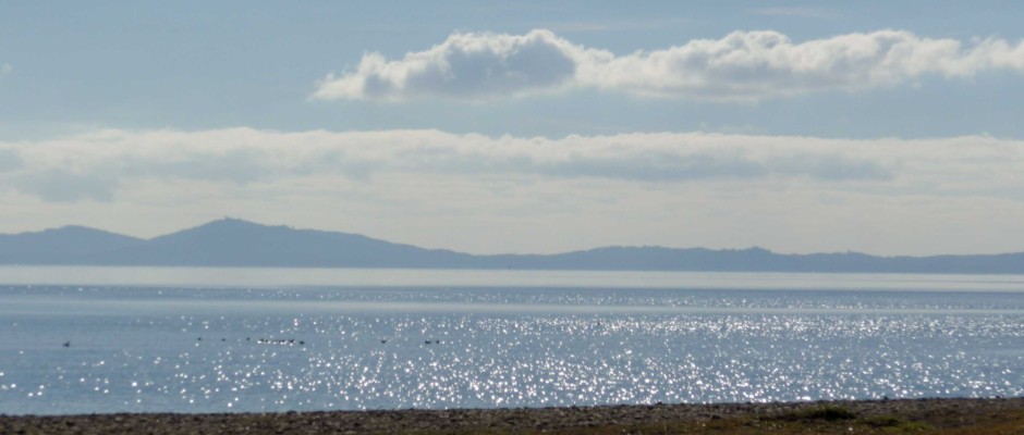 almanare michele-01.jpg