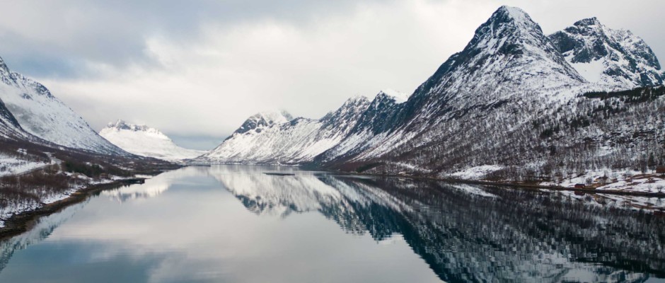 norvege didier-05.jpg